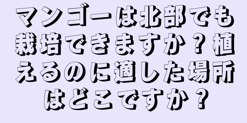 マンゴーは北部でも栽培できますか？植えるのに適した場所はどこですか？