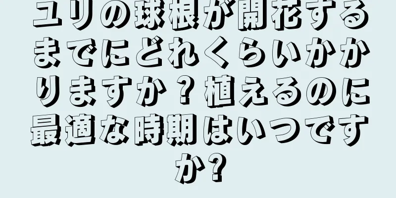 ユリの球根が開花するまでにどれくらいかかりますか？植えるのに最適な時期はいつですか?