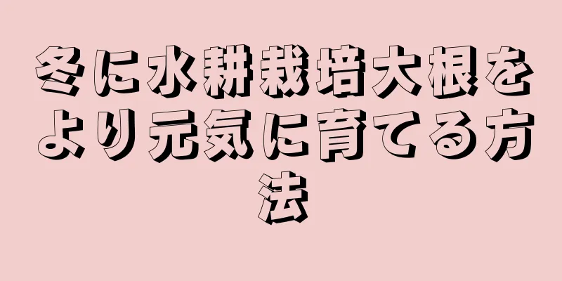 冬に水耕栽培大根をより元気に育てる方法