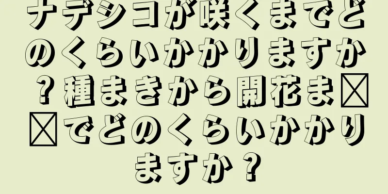 ナデシコが咲くまでどのくらいかかりますか？種まきから開花ま​​でどのくらいかかりますか？