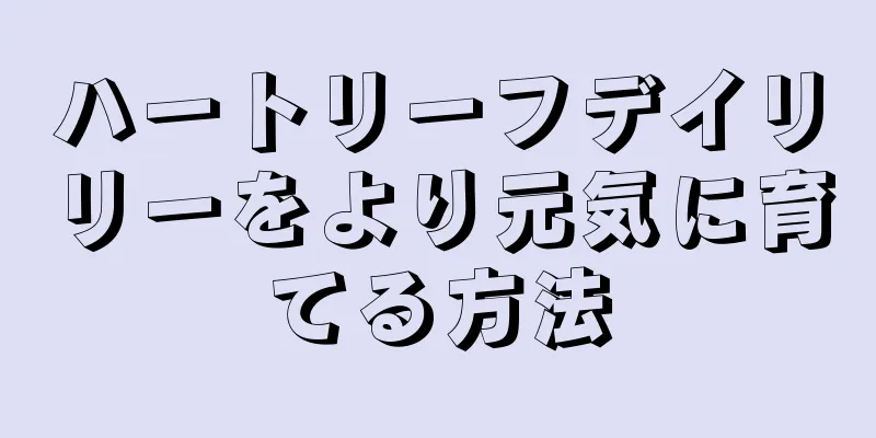 ハートリーフデイリリーをより元気に育てる方法