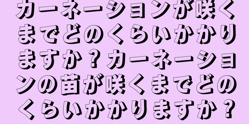 カーネーションが咲くまでどのくらいかかりますか？カーネーションの苗が咲くまでどのくらいかかりますか？