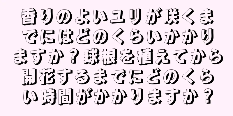 香りのよいユリが咲くまでにはどのくらいかかりますか？球根を植えてから開花するまでにどのくらい時間がかかりますか？