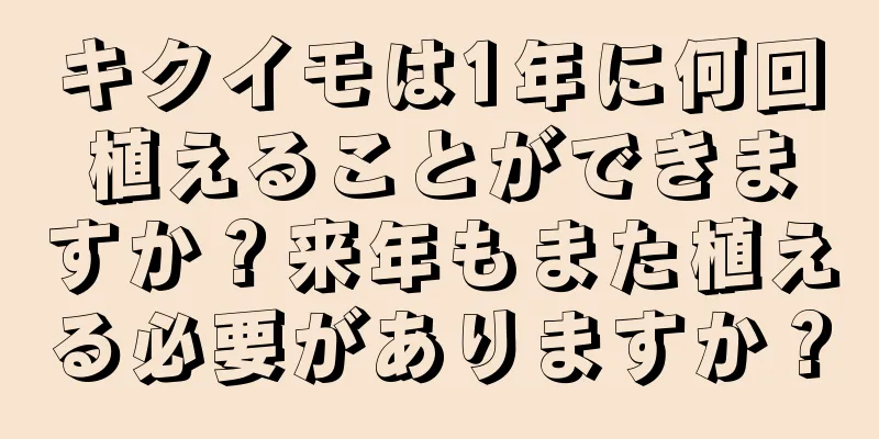 キクイモは1年に何回植えることができますか？来年もまた植える必要がありますか？
