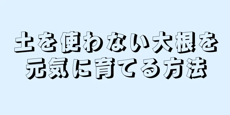 土を使わない大根を元気に育てる方法