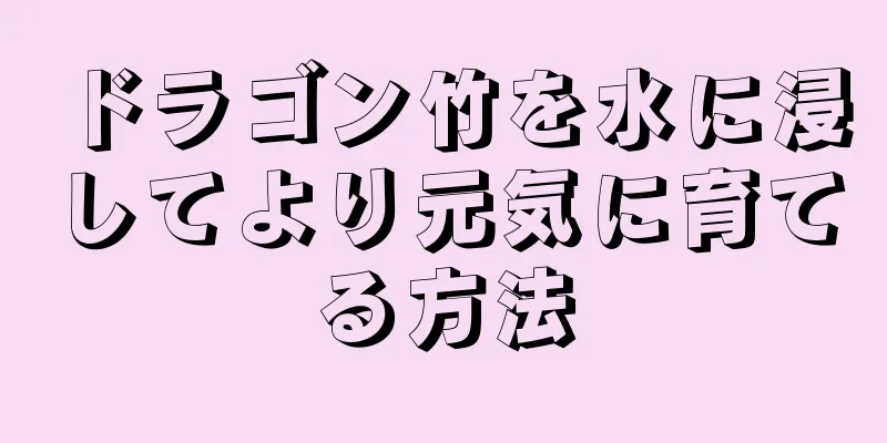 ドラゴン竹を水に浸してより元気に育てる方法