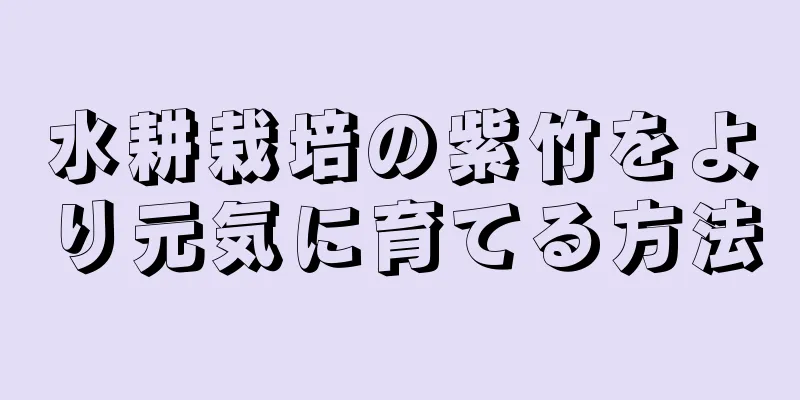 水耕栽培の紫竹をより元気に育てる方法