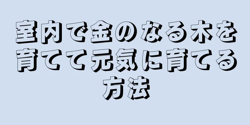 室内で金のなる木を育てて元気に育てる方法