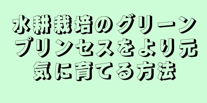 水耕栽培のグリーンプリンセスをより元気に育てる方法