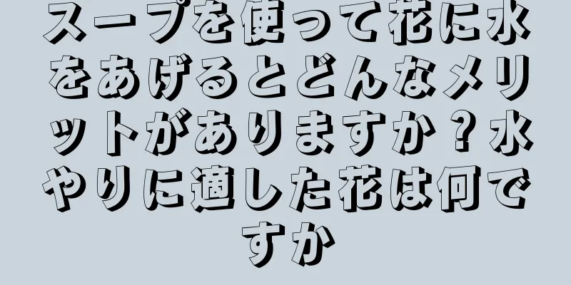 スープを使って花に水をあげるとどんなメリットがありますか？水やりに適した花は何ですか