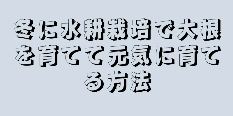 冬に水耕栽培で大根を育てて元気に育てる方法