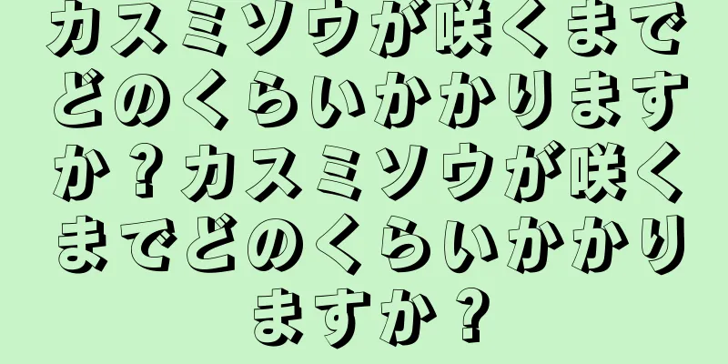 カスミソウが咲くまでどのくらいかかりますか？カスミソウが咲くまでどのくらいかかりますか？