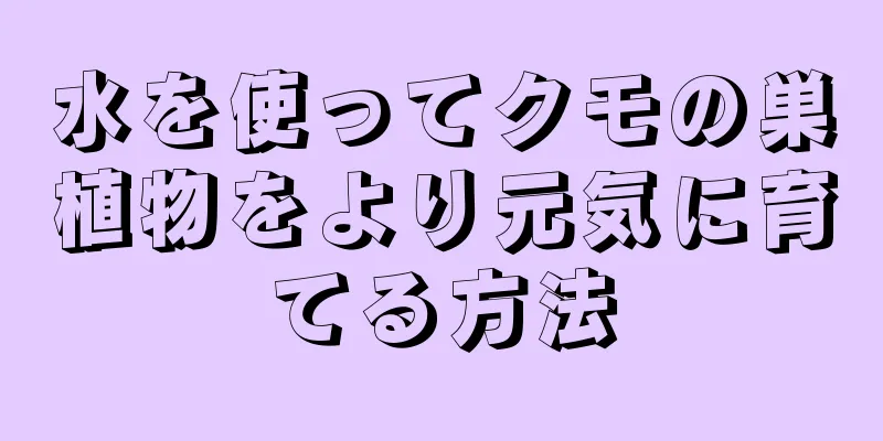 水を使ってクモの巣植物をより元気に育てる方法