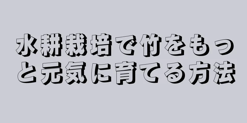 水耕栽培で竹をもっと元気に育てる方法
