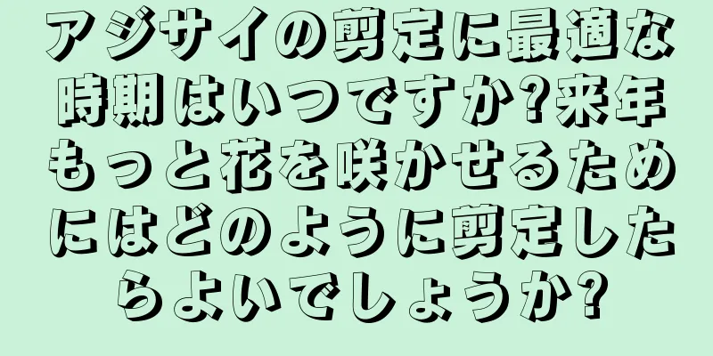 アジサイの剪定に最適な時期はいつですか?来年もっと花を咲かせるためにはどのように剪定したらよいでしょうか?