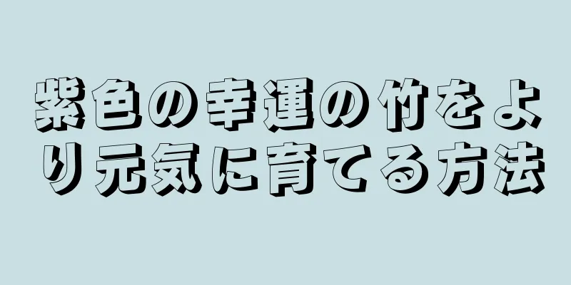 紫色の幸運の竹をより元気に育てる方法