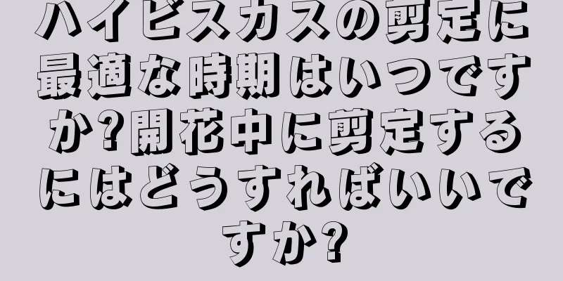 ハイビスカスの剪定に最適な時期はいつですか?開花中に剪定するにはどうすればいいですか?