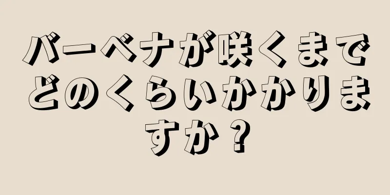バーベナが咲くまでどのくらいかかりますか？
