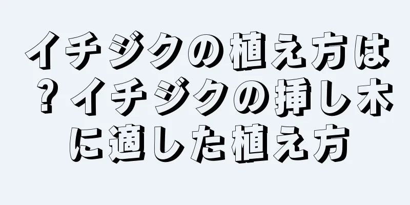 イチジクの植え方は？イチジクの挿し木に適した植え方