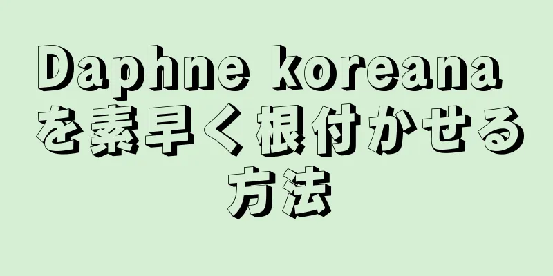 Daphne koreana を素早く根付かせる方法