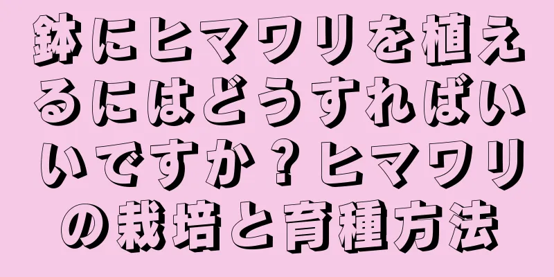 鉢にヒマワリを植えるにはどうすればいいですか？ヒマワリの栽培と育種方法