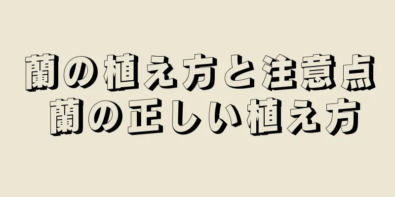 蘭の植え方と注意点 蘭の正しい植え方