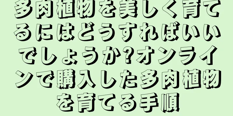 多肉植物を美しく育てるにはどうすればいいでしょうか?オンラインで購入した多肉植物を育てる手順