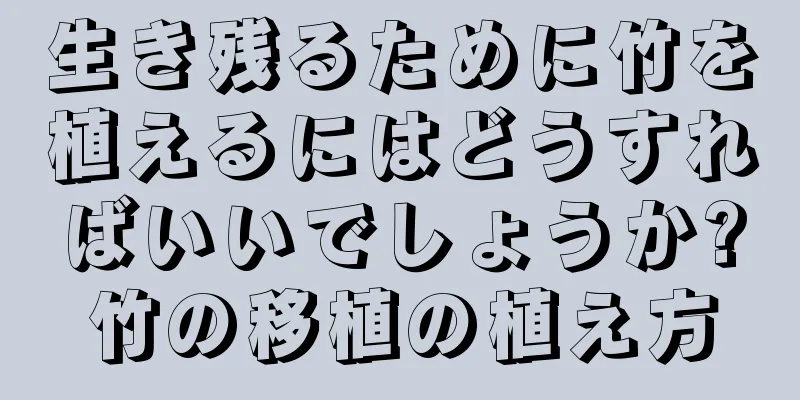 生き残るために竹を植えるにはどうすればいいでしょうか?竹の移植の植え方