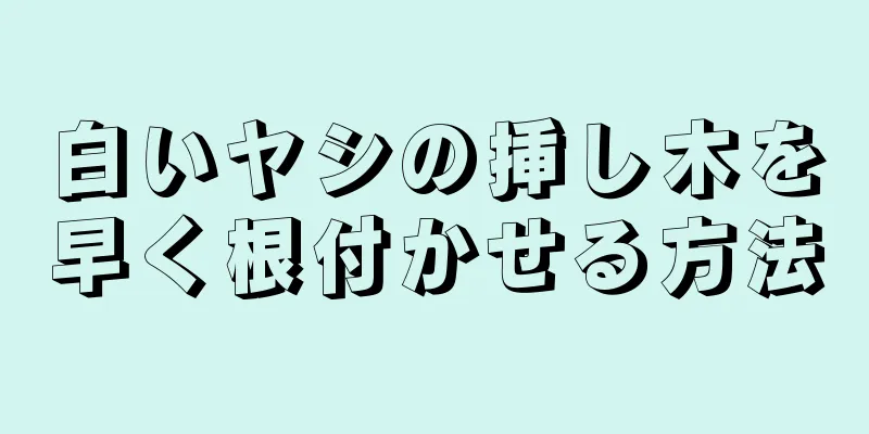 白いヤシの挿し木を早く根付かせる方法