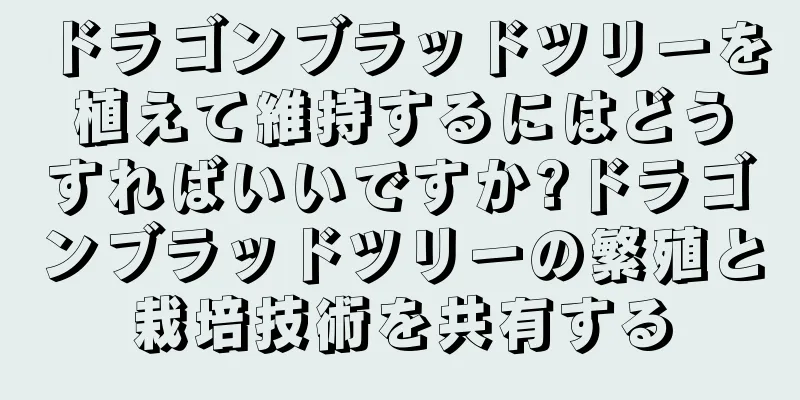ドラゴンブラッドツリーを植えて維持するにはどうすればいいですか?ドラゴンブラッドツリーの繁殖と栽培技術を共有する