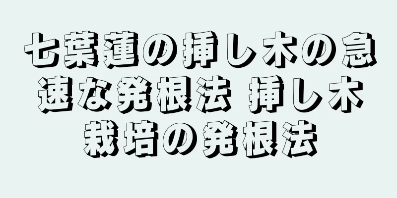 七葉蓮の挿し木の急速な発根法 挿し木栽培の発根法