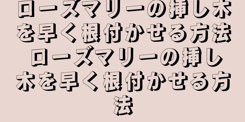 ローズマリーの挿し木を早く根付かせる方法 ローズマリーの挿し木を早く根付かせる方法