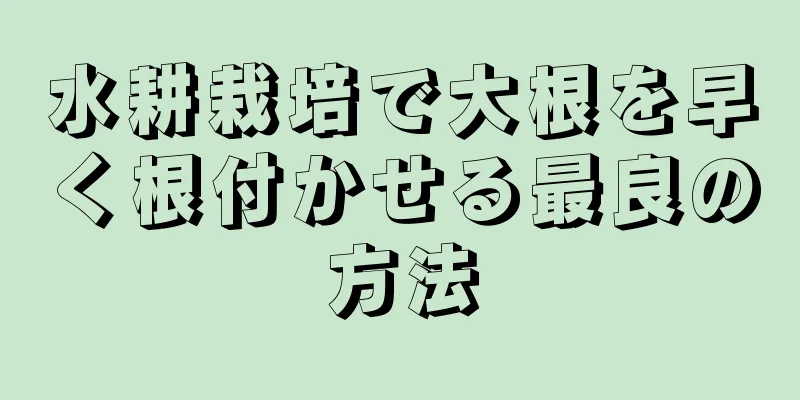 水耕栽培で大根を早く根付かせる最良の方法