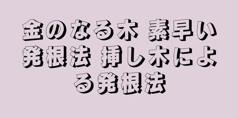 金のなる木 素早い発根法 挿し木による発根法