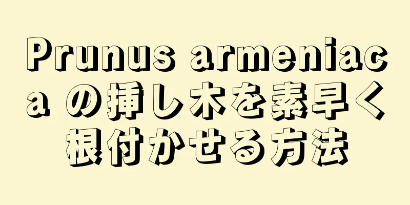 Prunus armeniaca の挿し木を素早く根付かせる方法