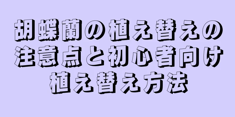 胡蝶蘭の植え替えの注意点と初心者向け植え替え方法