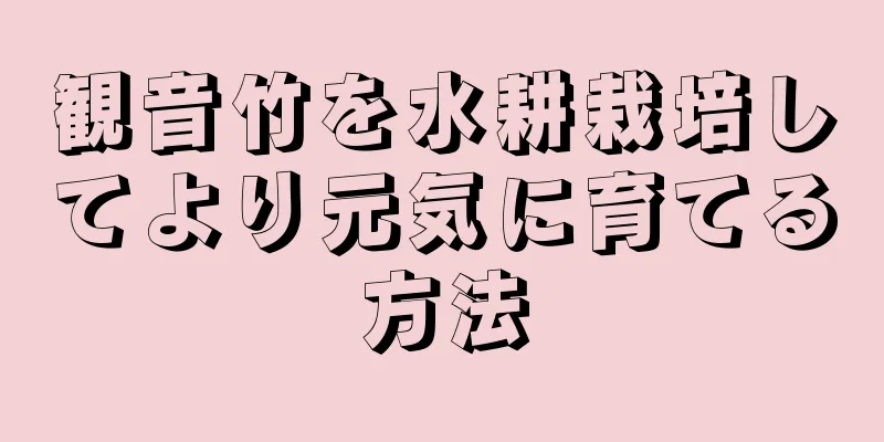 観音竹を水耕栽培してより元気に育てる方法