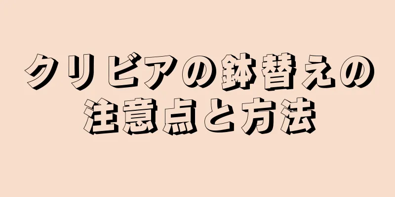 クリビアの鉢替えの注意点と方法
