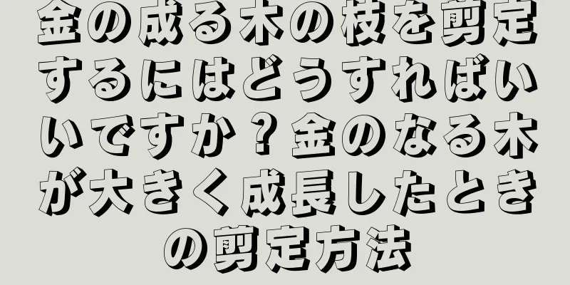 金の成る木の枝を剪定するにはどうすればいいですか？金のなる木が大きく成長したときの剪定方法