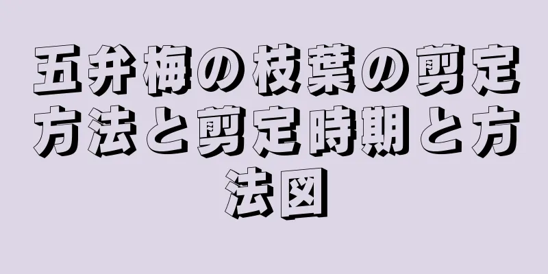 五弁梅の枝葉の剪定方法と剪定時期と方法図