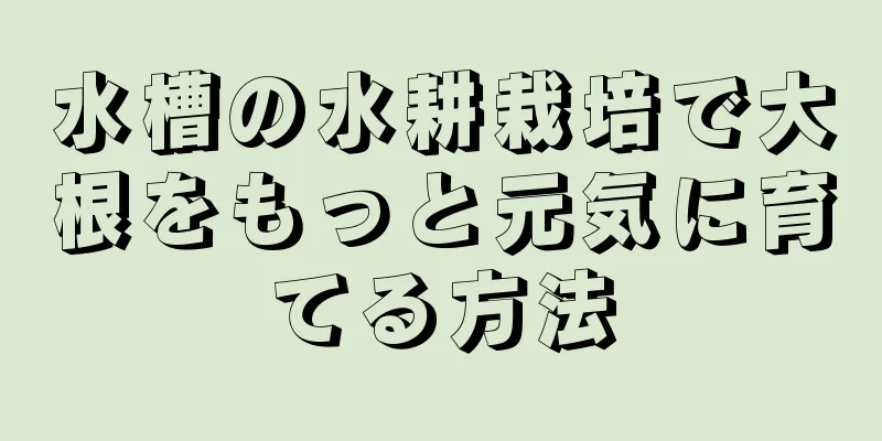 水槽の水耕栽培で大根をもっと元気に育てる方法