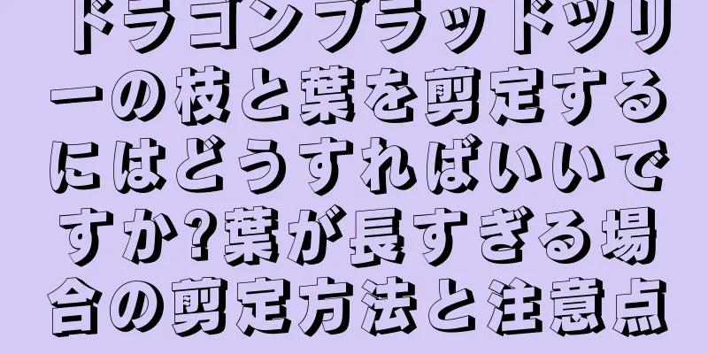 ドラゴンブラッドツリーの枝と葉を剪定するにはどうすればいいですか?葉が長すぎる場合の剪定方法と注意点