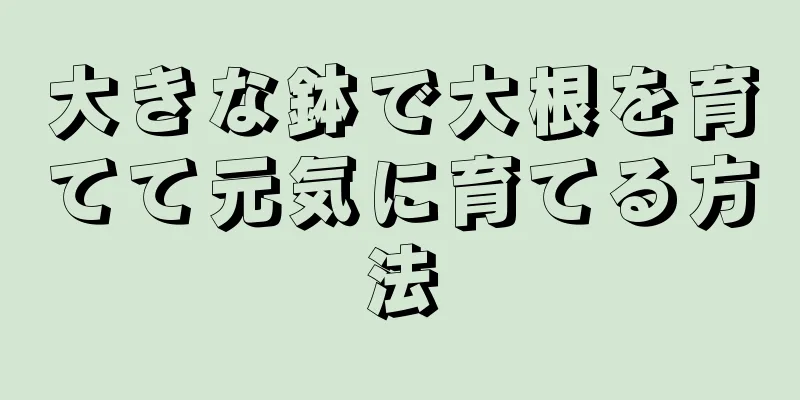 大きな鉢で大根を育てて元気に育てる方法