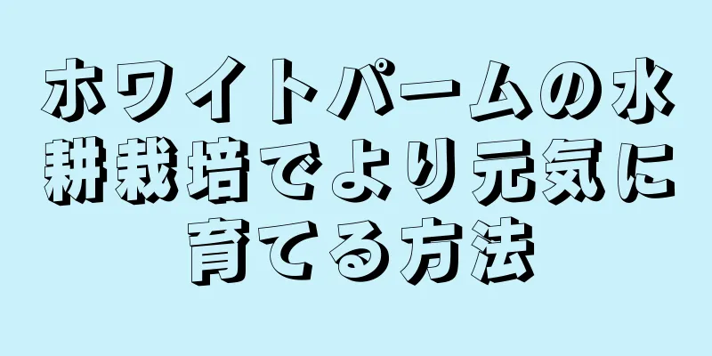 ホワイトパームの水耕栽培でより元気に育てる方法