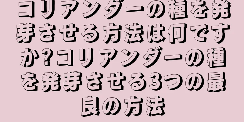 コリアンダーの種を発芽させる方法は何ですか?コリアンダーの種を発芽させる3つの最良の方法