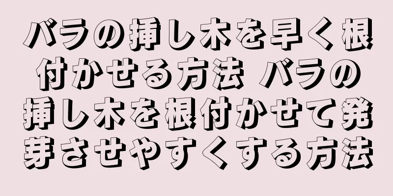 バラの挿し木を早く根付かせる方法 バラの挿し木を根付かせて発芽させやすくする方法