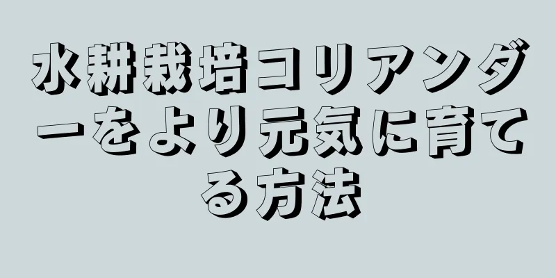 水耕栽培コリアンダーをより元気に育てる方法