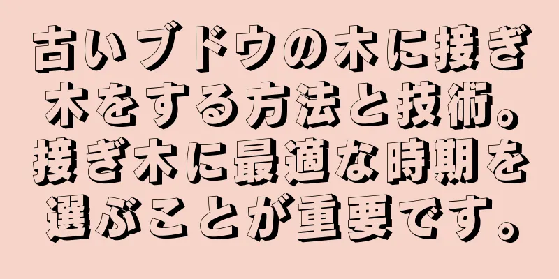 古いブドウの木に接ぎ木をする方法と技術。接ぎ木に最適な時期を選ぶことが重要です。