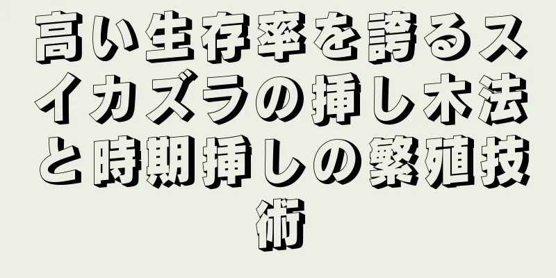 高い生存率を誇るスイカズラの挿し木法と時期挿しの繁殖技術
