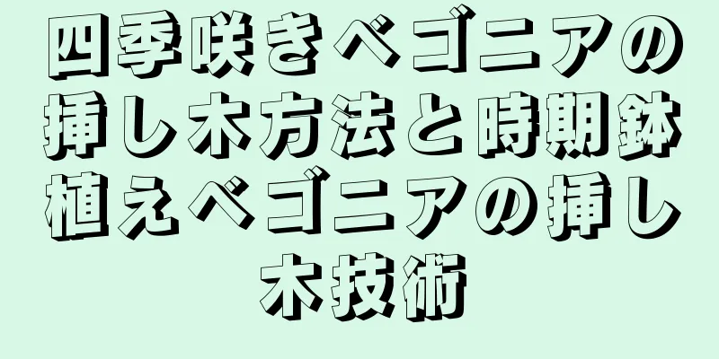 四季咲きベゴニアの挿し木方法と時期鉢植えベゴニアの挿し木技術